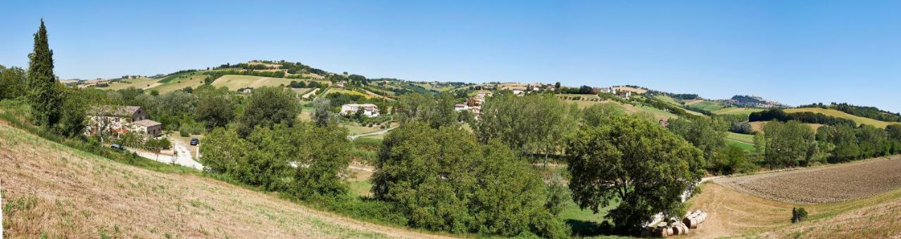 Affitta Camere Il Pettirosso Fermo Zewnętrze zdjęcie